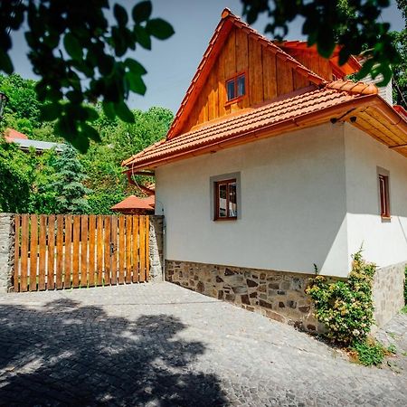 Stara Mytnica Villa Banská Štiavnica Екстериор снимка
