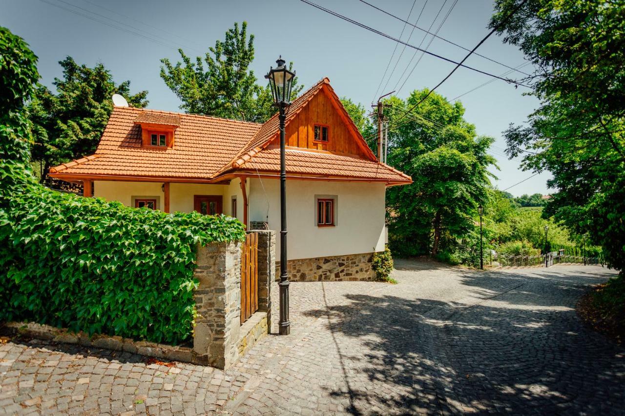 Stara Mytnica Villa Banská Štiavnica Екстериор снимка